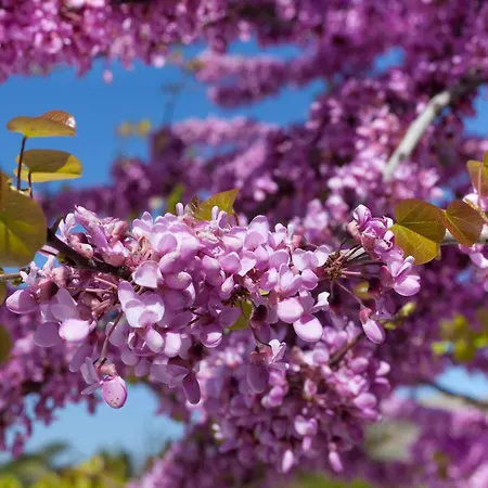 Villa Casa Del Sol Syros *