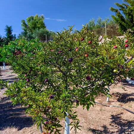 Villa Casa Del Sol Syros