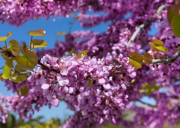 Villa Casa Del Sol Syros *